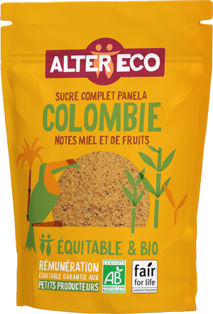 miniature-sucre-canne-panela-1