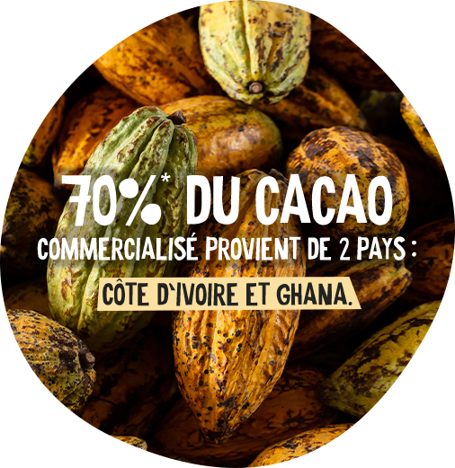 saveur-cacao-1