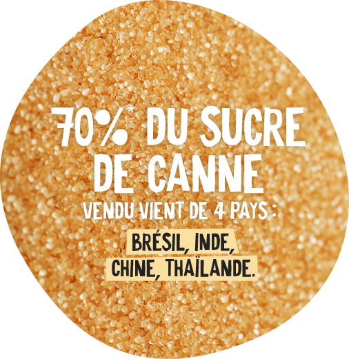 saveur-sucre-1