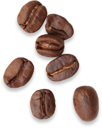 projects_cacao